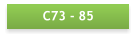C73 - 85