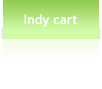 Indy cart