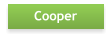 Cooper