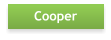 Cooper