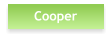 Cooper